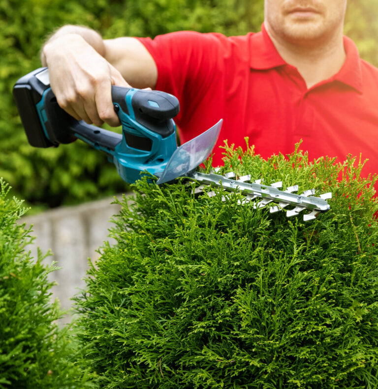 Landscaping company is super busy after landscaping AEO keeps their books full