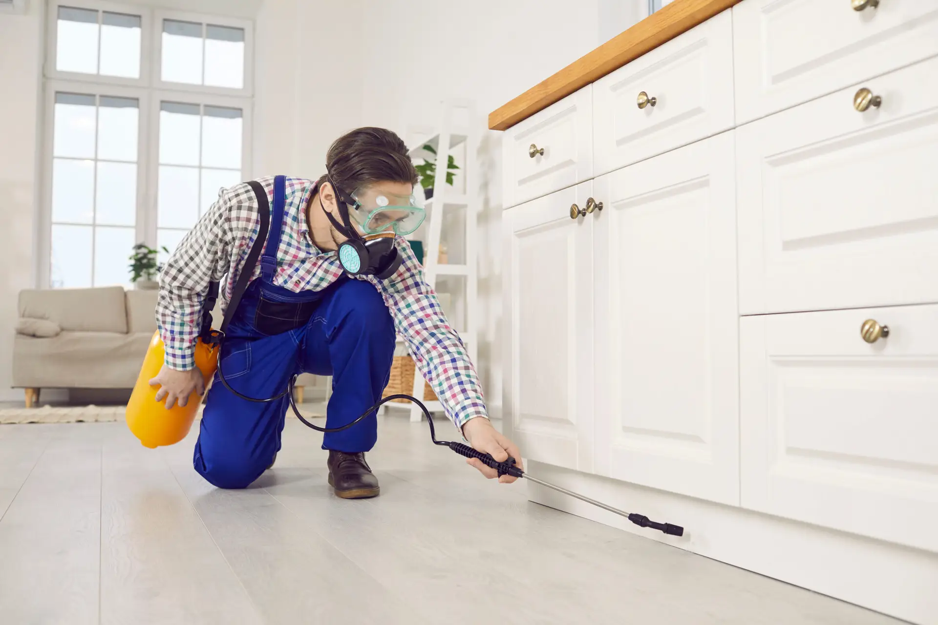 Manatee County pest control operator combining pest control PPC Bradenton campaigns with SEO for full search page visibility