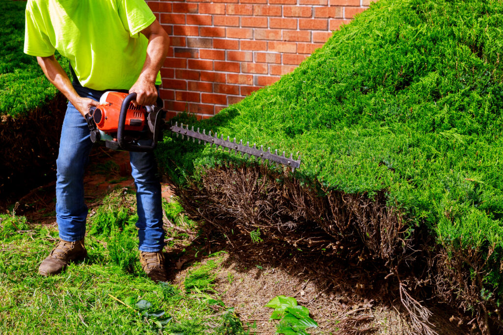 landscaper trimming bushes after landscaping digital marketing filled heir books