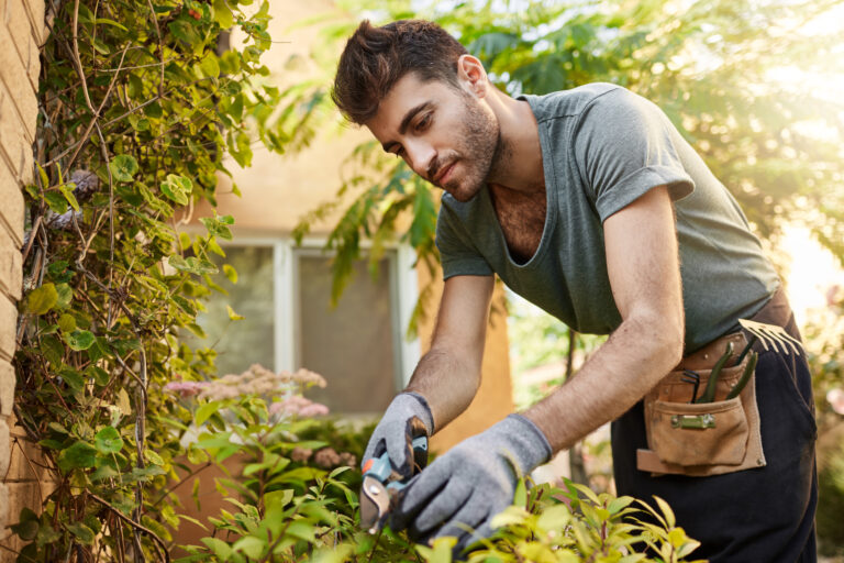 Outdoors portrait of young attractive bearded hispanic man in blue t-shirt and gloves working in garden with tools, cutting leaves, watering plants