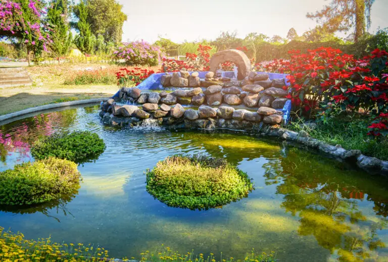 beautiful pond water garden landscape pond design small waterfall stone with plant and flower blossoming in the summer green park