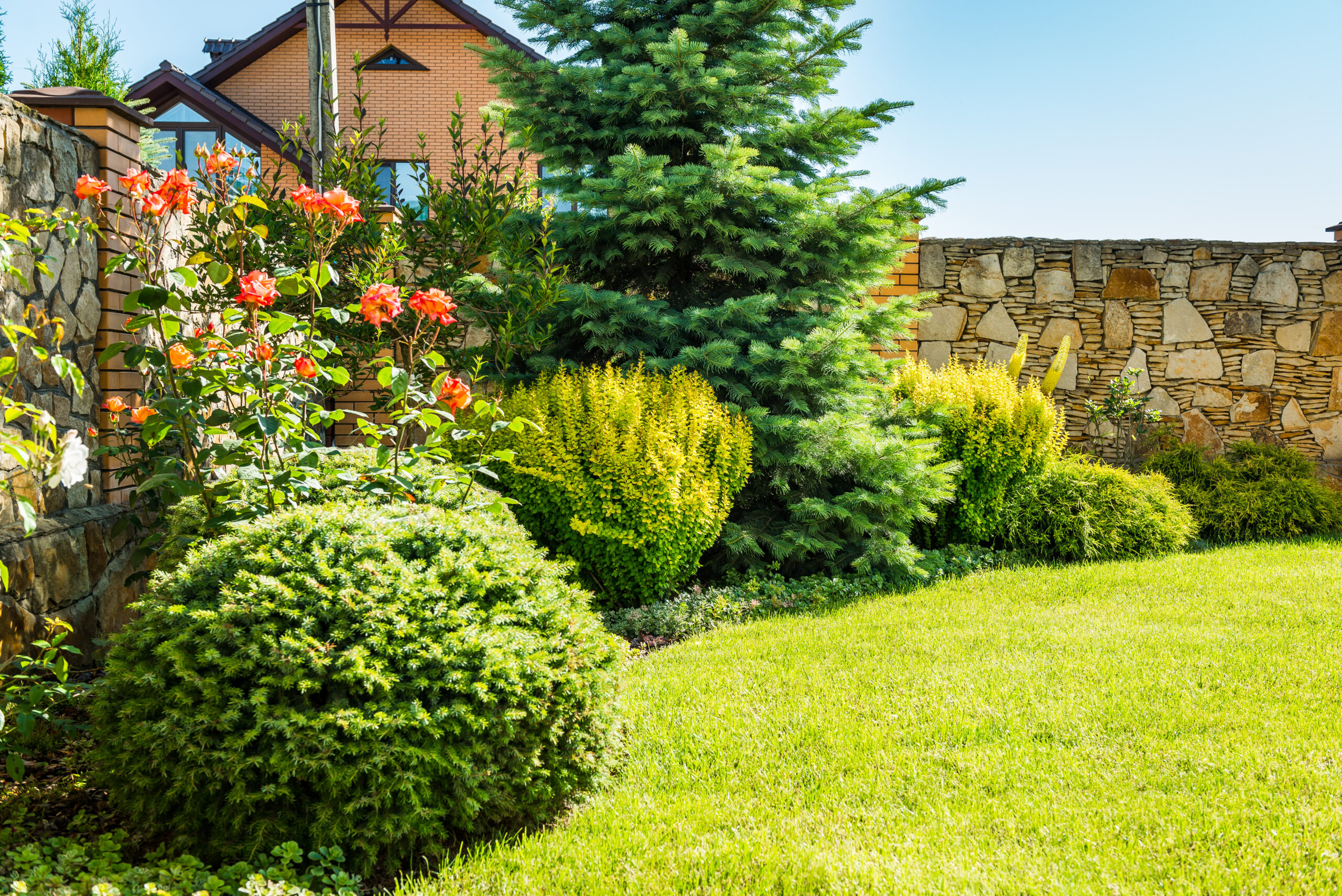 Landscaper installing tropical plants in a Tampa Bay yard — the kind of premium job local SEO for landscaping companies in Tampa FL is built to attract