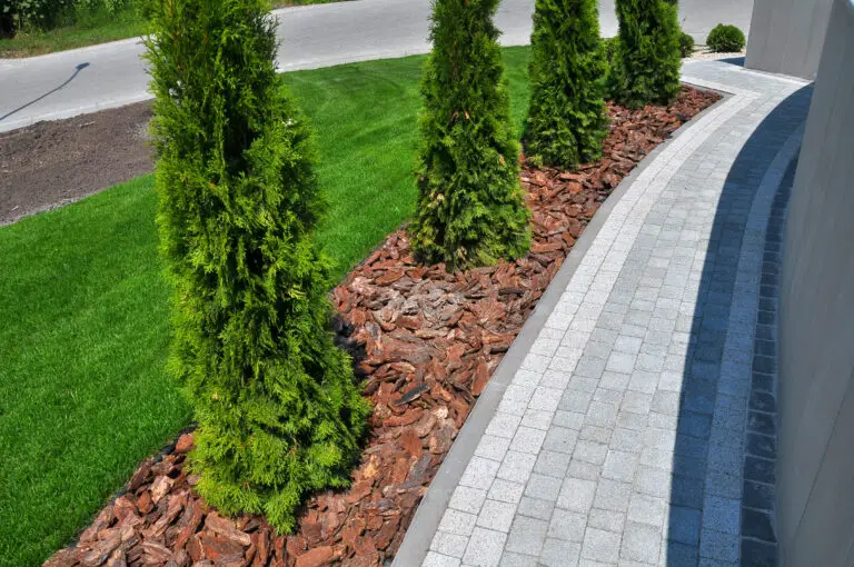 Fragments of modern design from landscaping in the garden, park, square, recreation area