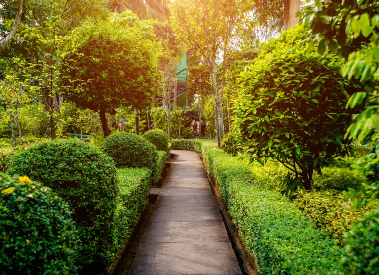 Luxury landscape design of the tropical garden. Beautiful view of landscaped tropical garden.