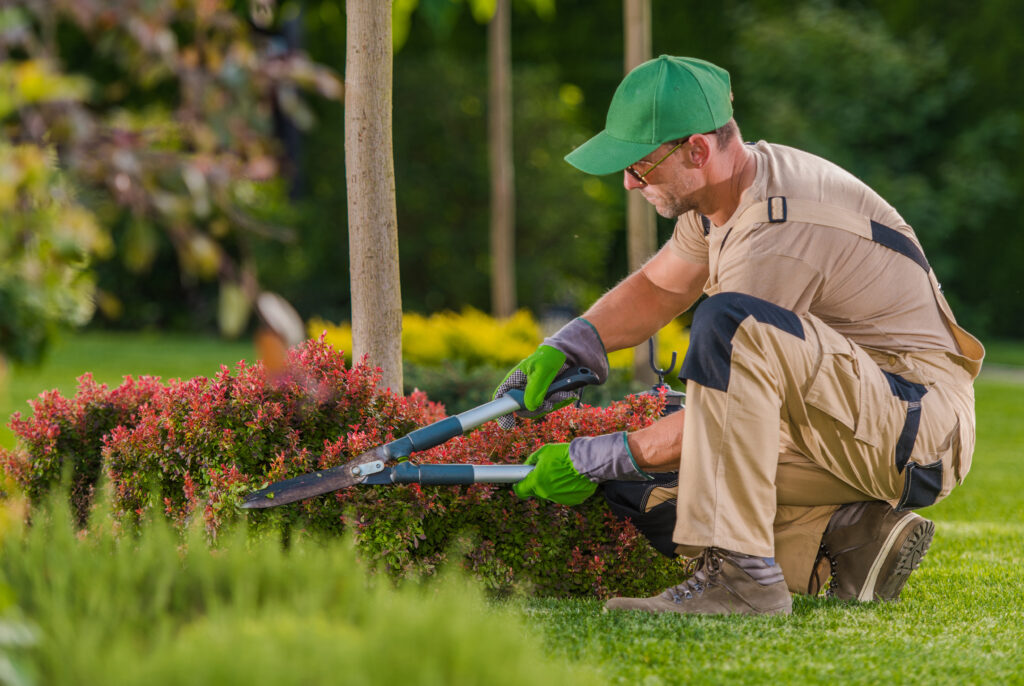 Professional landscaper pruning flowering shrubs in a Tampa garden kept busy by Tampa landscaper SEO services