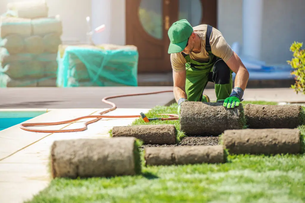 Professional Landscaper Installing New Grass Turfs in a Garden after Tampa landscaping PPC services filled their schedule