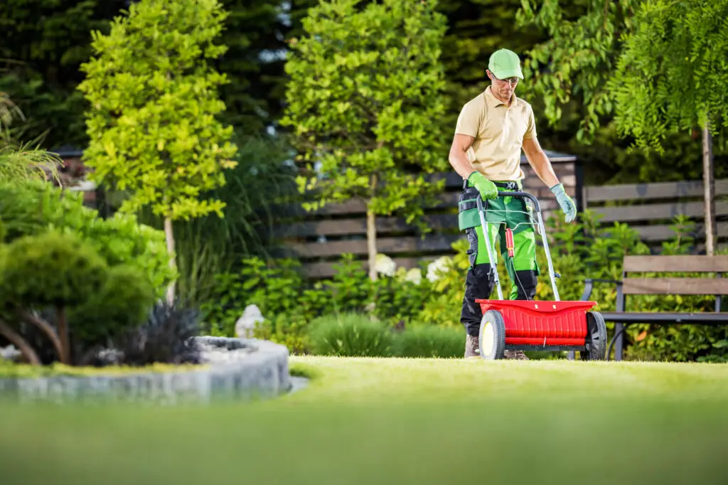 Professional Caucasian Gardener Spreading Seeds on the Lawn Using Garden Spreader Tool after home services SEO filled their calendar with work.