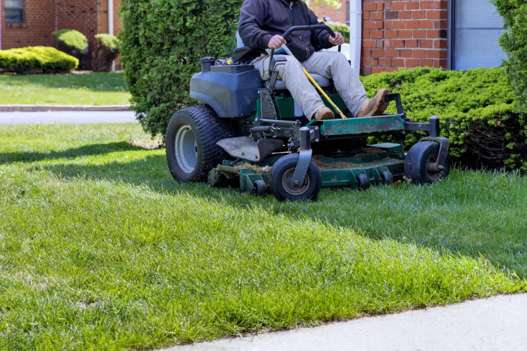 Evergreen landscaped garden with man cut lawn using gasoline-powered self-propelled lawn mower on sunny spring day after home services SEO filled their calendar with work.