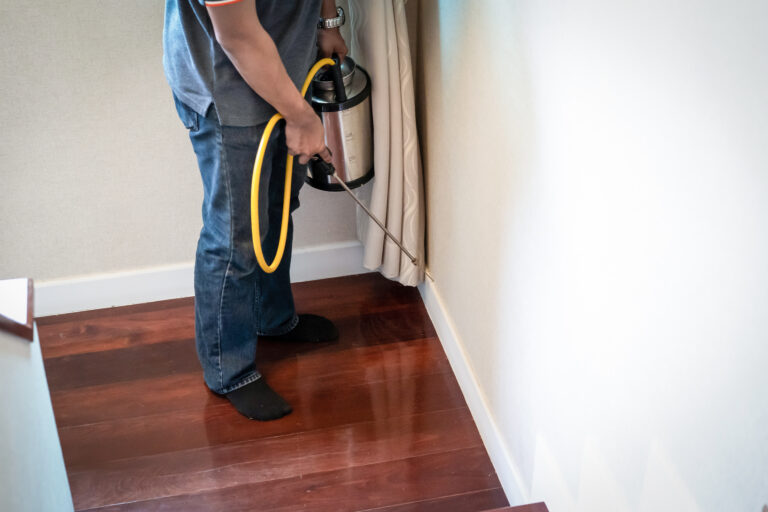 Tampa termite exterminator is spraying the destroy chemical liquid in to ant nest in the wood after pest control PPC fill their calendar with work.