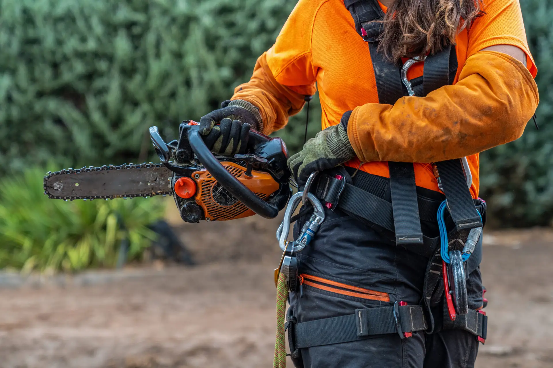 Tampa tree service company owner reviewing organic rankings from tree service SEO campaign that captured emergency removal leads and ISA arborist searches across Hillsborough County