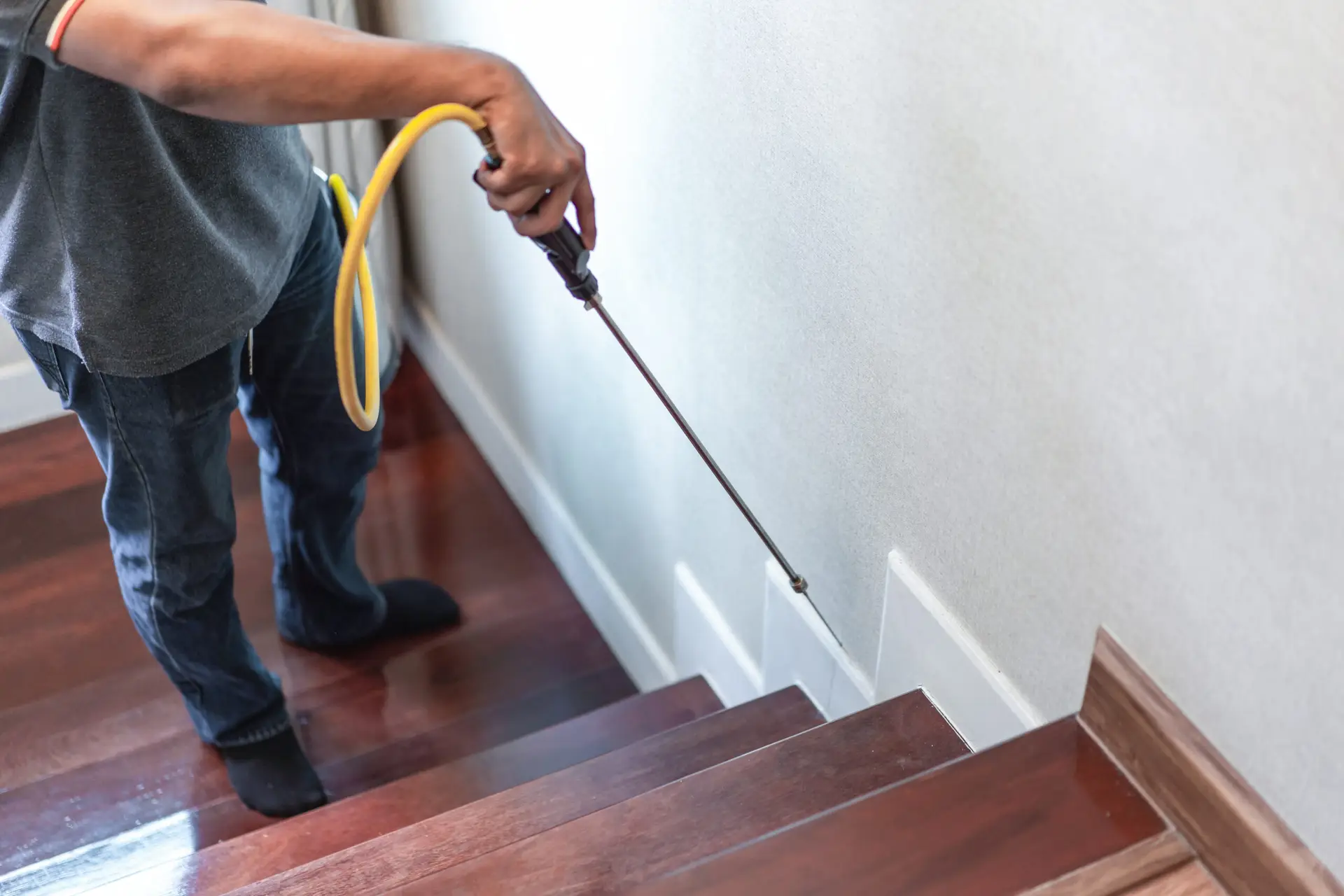 Pest control technician on the job — pest control SEO services built for seasonal demand, Map Pack dominance, and recurring service agreement revenue