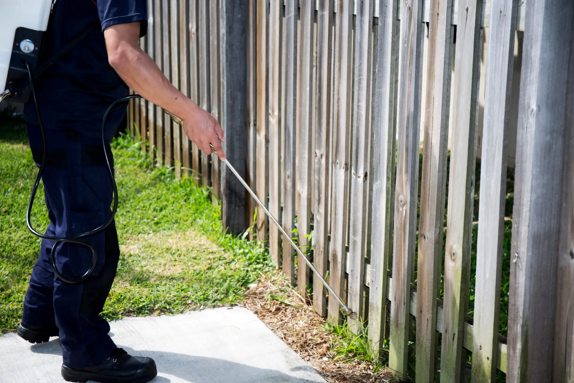 Pest control operator who grew their business with integrated pest control SEO services — seasonal demand capture, service agreement revenue, and Map Pack dominance