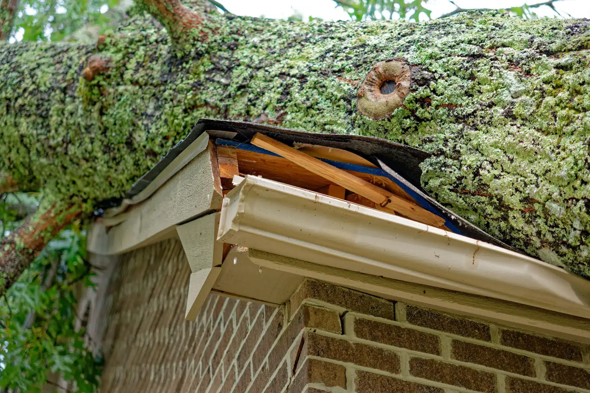 Roofing contractor whose business grew through integrated roofing social media marketing and SEO